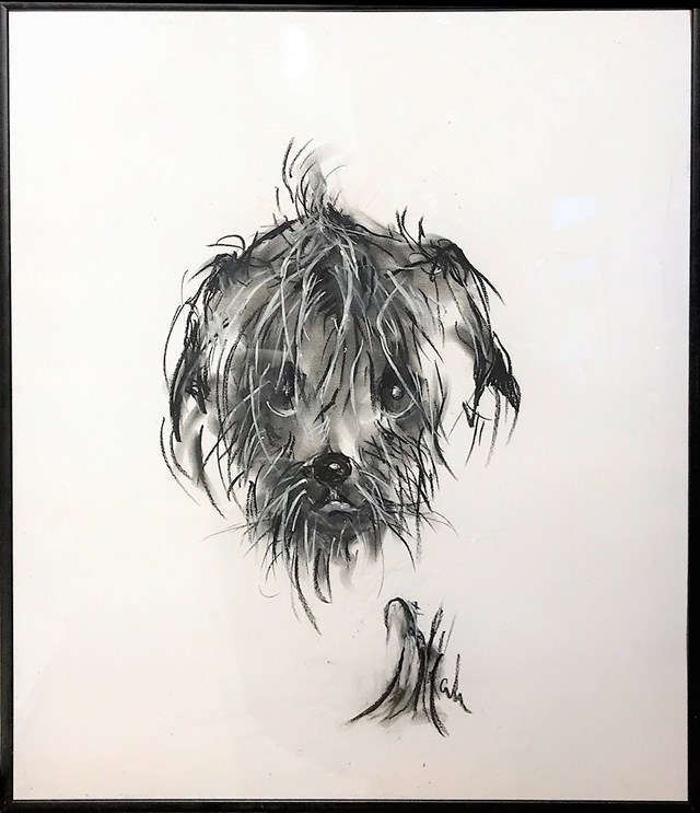 Obraz do salonu artysty Bożena Wahl pod tytułem Pies 1