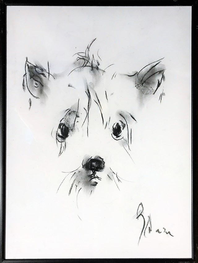 Obraz do salonu artysty Bożena Wahl pod tytułem Pies pastel 3