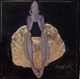 Joanna Sarapata - Artist - Art in House Gallery Online