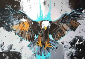 Haliaeetus leucocephalus (Eagle)