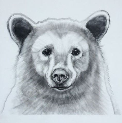Obraz do salonu artysty Michael Torzecki pod tytułem Niedźwiedź