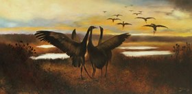 Dance of the Cranes