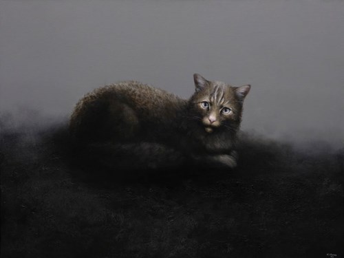 Living room painting by Klaudia Choma titled Wildcat