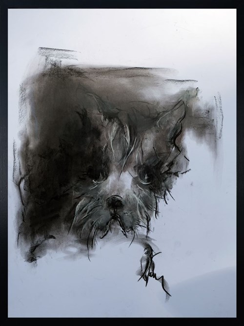 Obraz do salonu artysty Bożena Wahl pod tytułem Portret psa