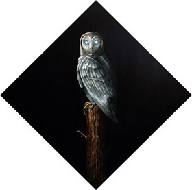 Barn Owl