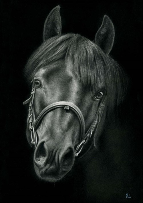 Obraz do salonu artysty Magdalena Muraszko-Kowalska pod tytułem Koń żmudzki