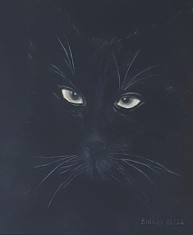 Obraz do salonu artysty Anna Bielecka pod tytułem Kot