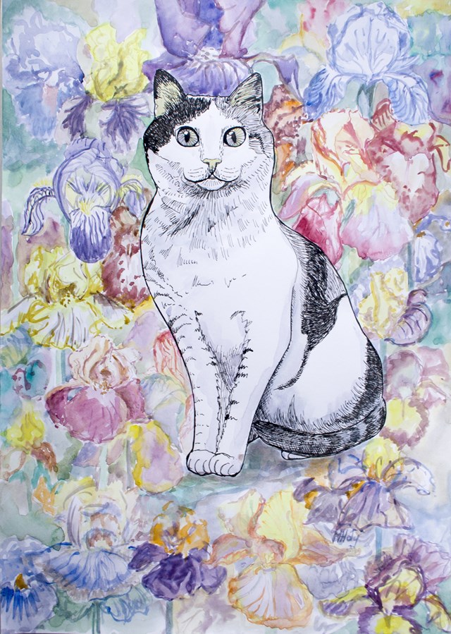 Obraz do salonu artysty Marta Horodniczy pod tytułem Kot w irysach