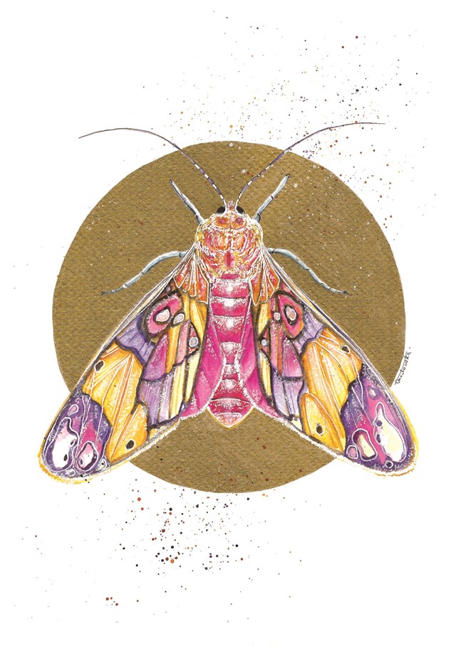 Obraz do salonu artysty Aleksandra Ćmachowska pod tytułem Motyle i złoto