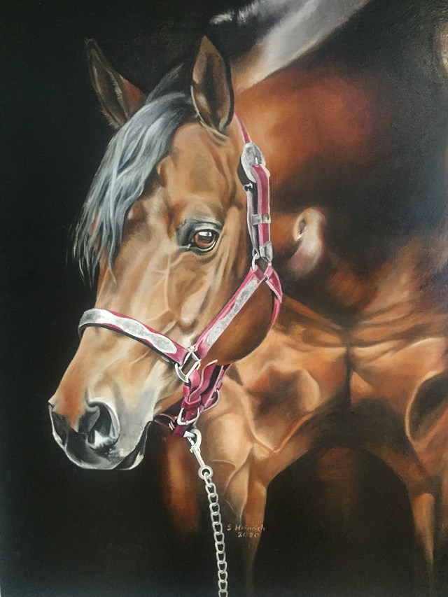 Living room painting by Sylwia Heinrich titled Quarter Horse