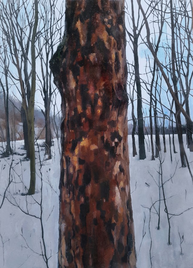 Obraz do salonu artysty Maria Danielak pod tytułem Łaciate drzewo