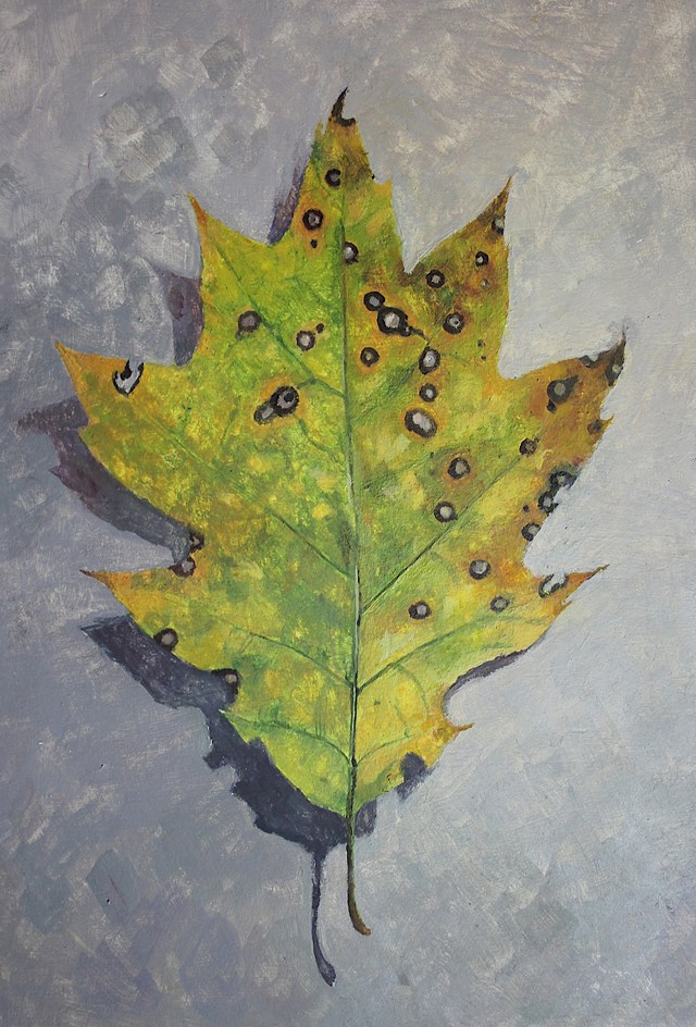 Obraz do salonu artysty Maria Danielak pod tytułem Jesienny listek