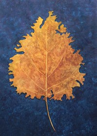 Obraz do salonu artysty Maria Danielak pod tytułem Jesienny listek bzu