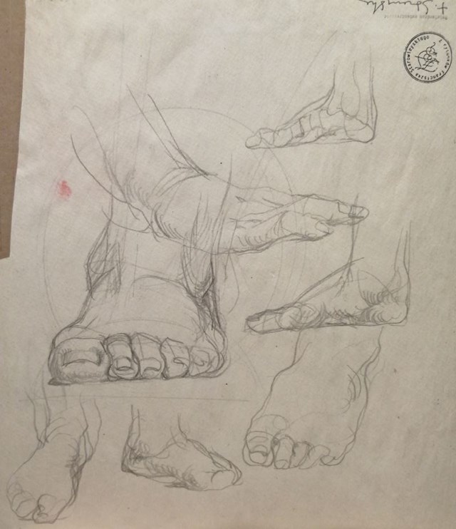 Obraz do salonu artysty Franciszek Starowieyski pod tytułem Szkice elementów anatomicznych stopy