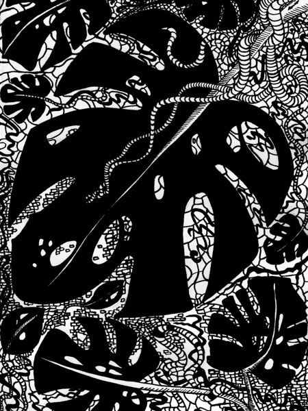 Grafika do salonu artysty Magdalena Szata pod tytułem Monstera, Cykl: Rośliny