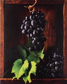 Living room  by Katarzyna Fiszer titled still life #3