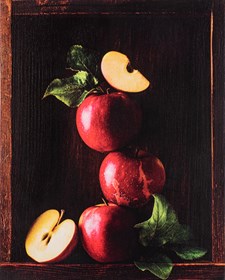  do salonu artysty Katarzyna Fiszer pod tytułem martwa natura II