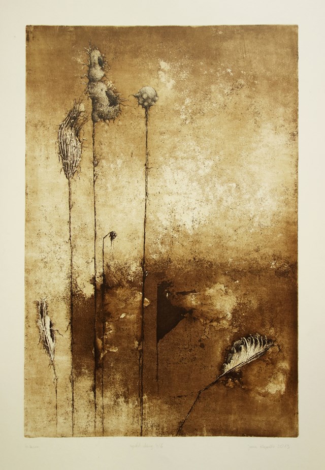 Living room print by Joanna Klepadło titled Herbarium
