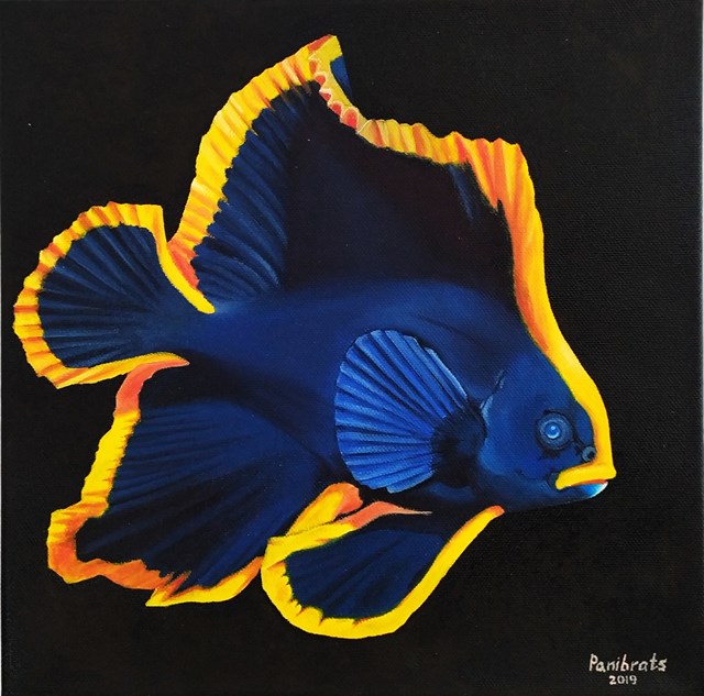 Obraz do salonu artysty Olga Panibrats pod tytułem Batfish