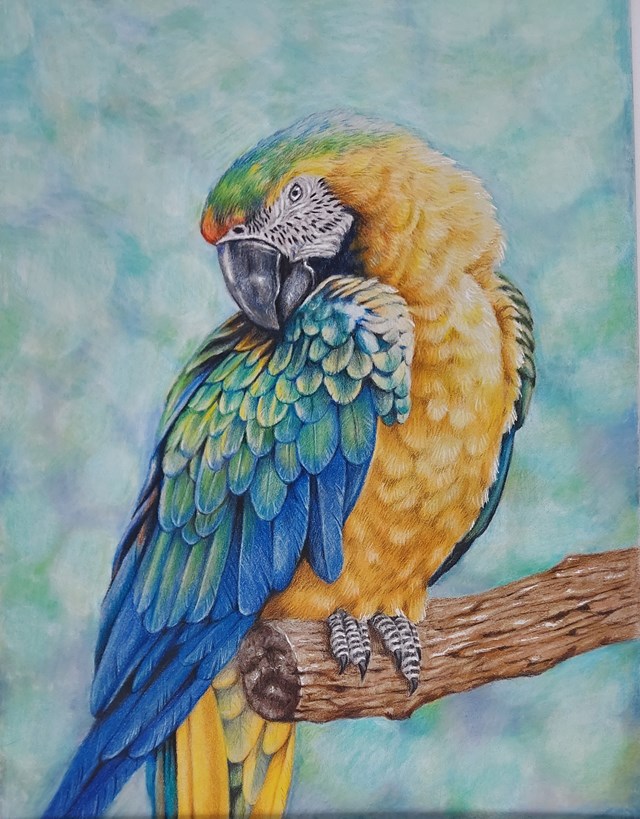 Living room painting by Beata Kowalczyk titled Parrot