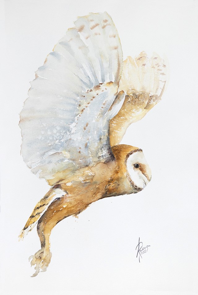 Living room painting by Andrzej Rabiega titled Barn Owl