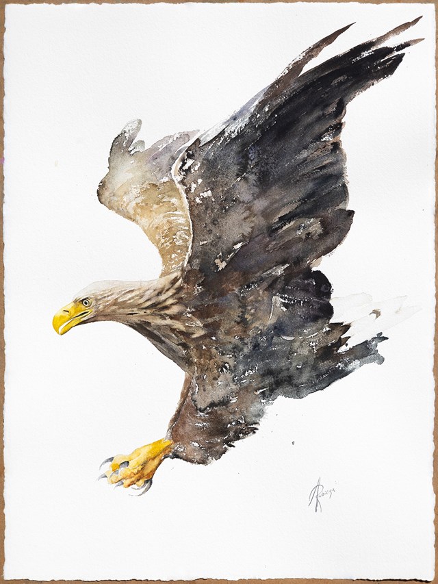 Living room painting by Andrzej Rabiega titled White-tailed eagle