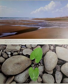 Living room  by Ewelina Lochman titled Droga