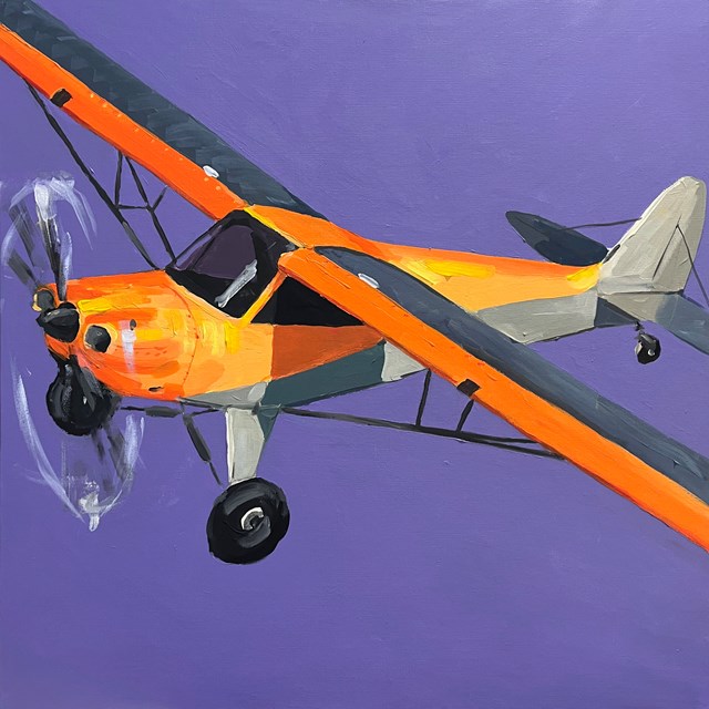 Obraz do salonu artysty Jędrzej Jarocki pod tytułem Samolot