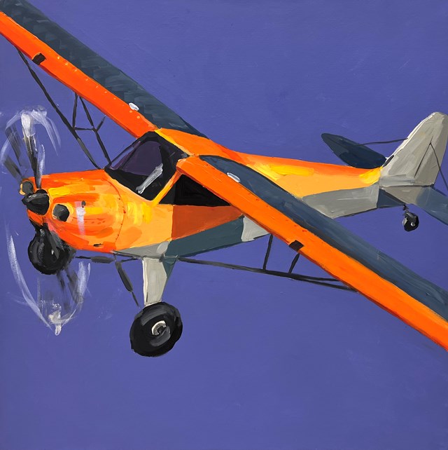 Obraz do salonu artysty Jędrzej Jarocki pod tytułem Samolot