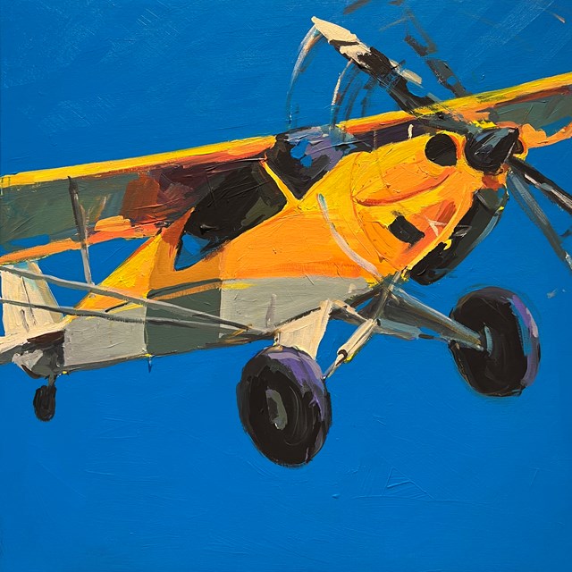 Obraz do salonu artysty Jędrzej Jarocki pod tytułem Samolot 2