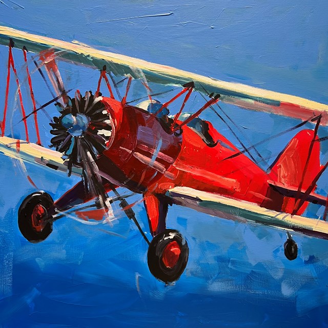 Obraz do salonu artysty Jędrzej Jarocki pod tytułem Samolot 3
