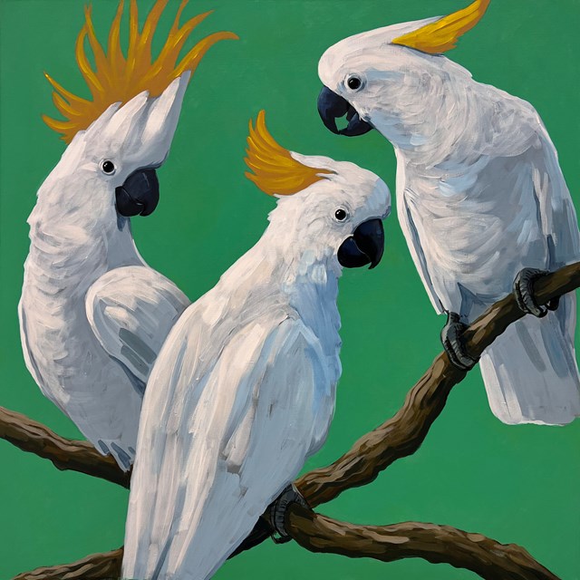Obraz do salonu artysty Jędrzej Jarocki pod tytułem kakadu