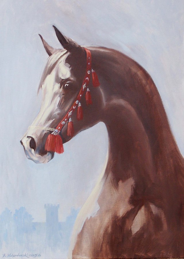 Obraz do salonu artysty Rafał Walendowski pod tytułem "Koń arabski na tle Stajni Zegarowej"