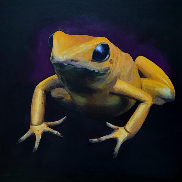 Living room painting by Aleksandra Kwapiszewska titled Hypnofrog