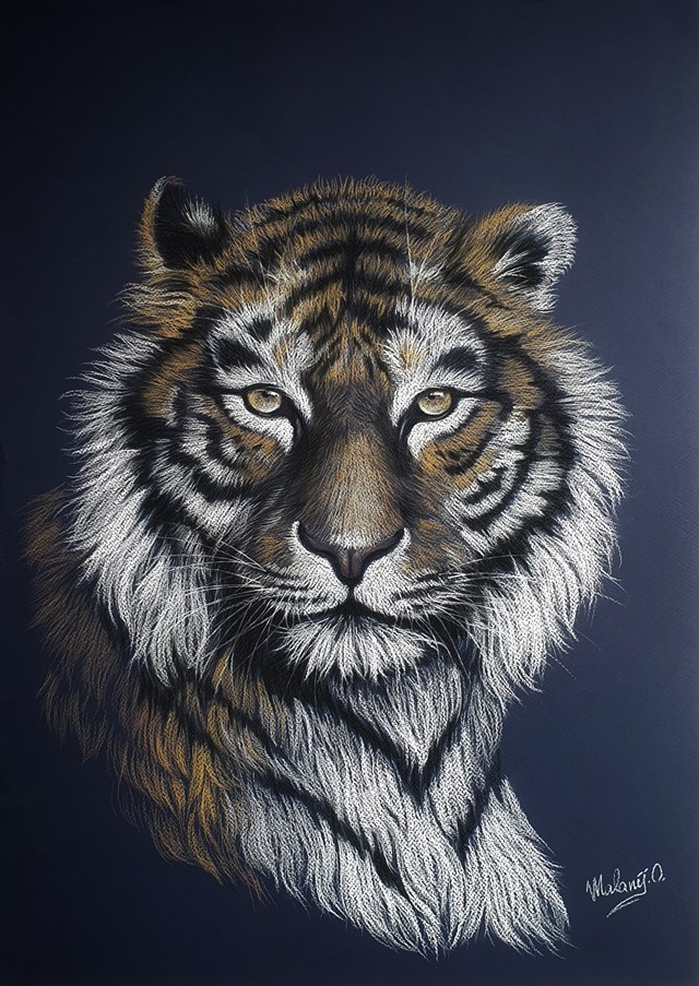 Grafika do salonu artysty Oksana Malanij pod tytułem Tygrys 