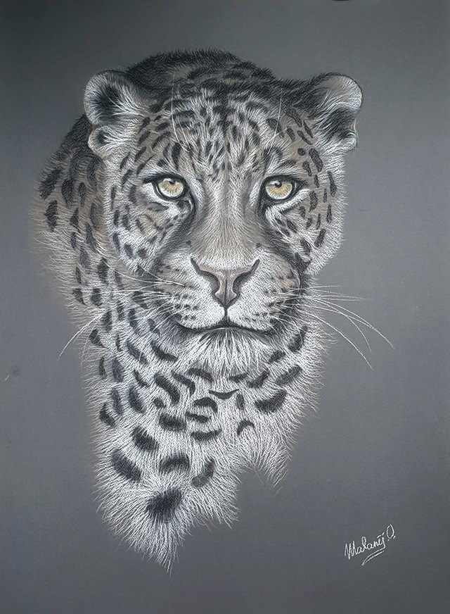 Grafika do salonu artysty Oksana Malanij pod tytułem Leopard 