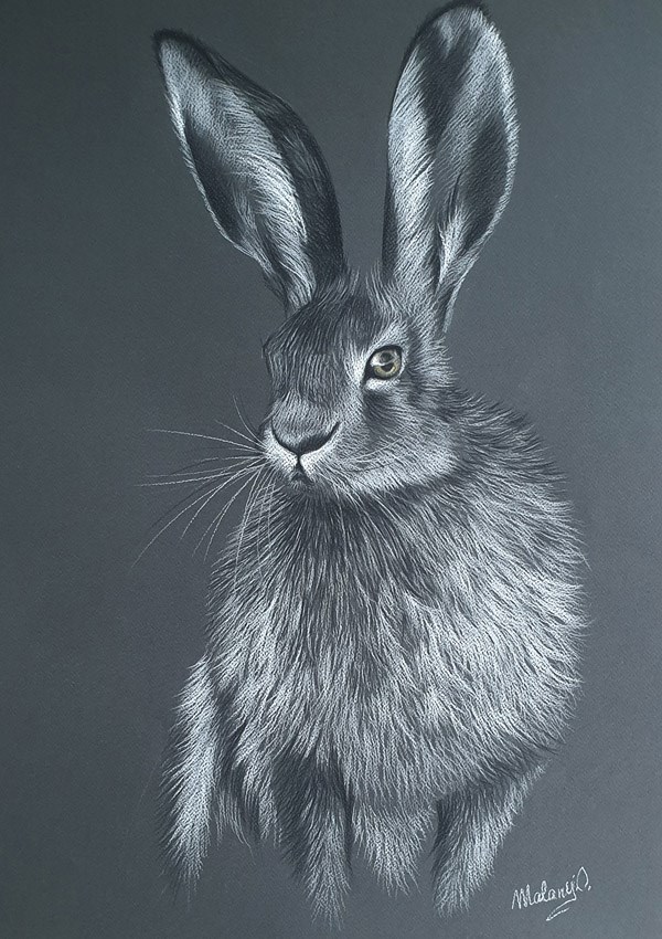 Obraz do salonu artysty Oksana Malanij pod tytułem Hare