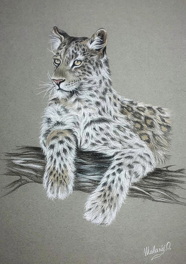 Living room painting by Oksana Malanij titled Leopard 