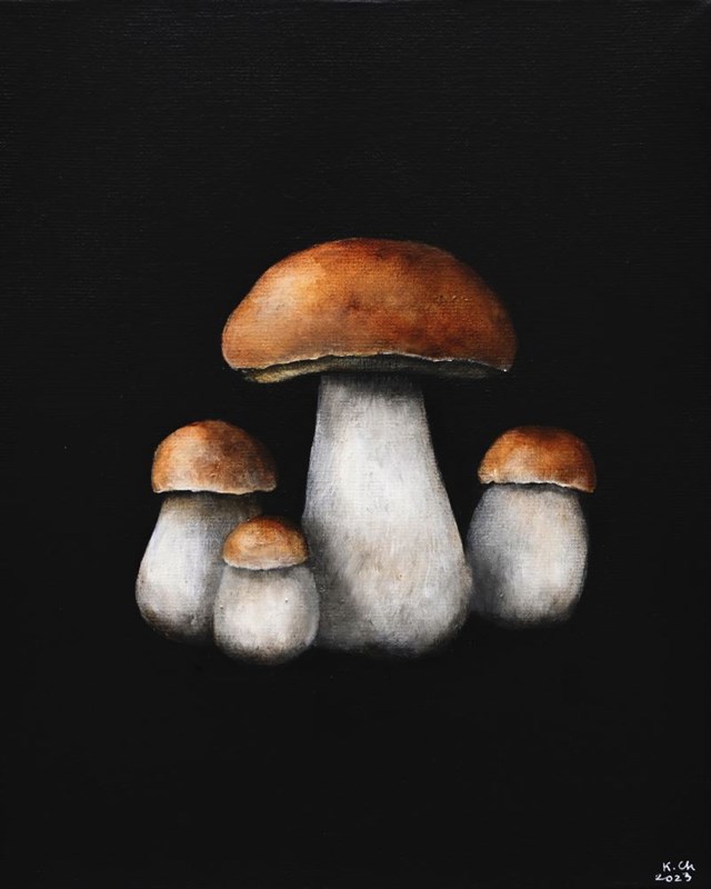 Living room painting by Klaudia Choma titled Boletus edulis