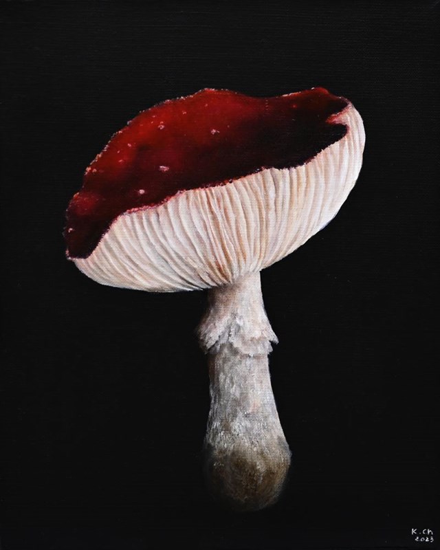 Living room painting by Klaudia Choma titled Amanita muscaria