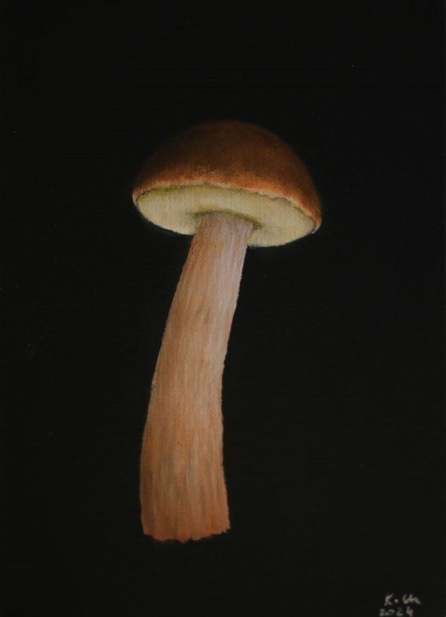 Living room painting by Klaudia Choma titled Aureoboletus projectellus IV