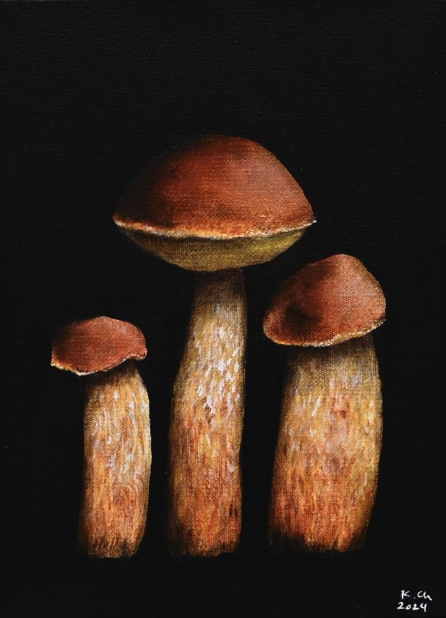 Living room painting by Klaudia Choma titled Aureoboletus projectellus V