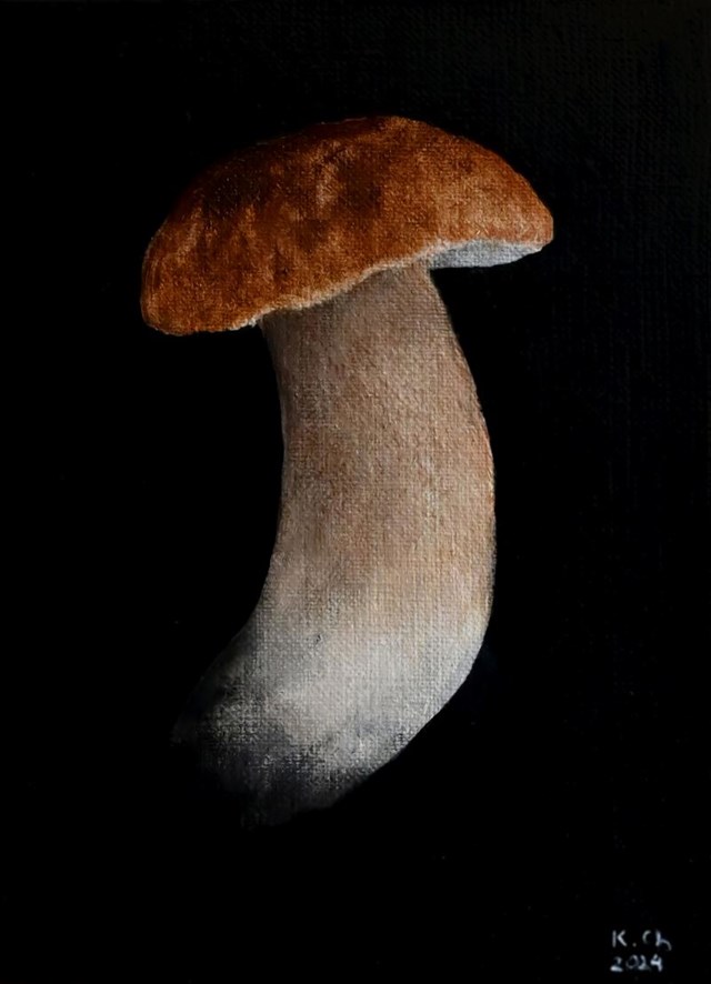 Living room painting by Klaudia Choma titled Boletus edulis IV