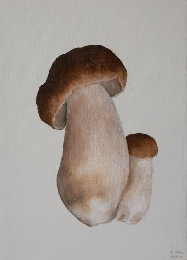 Living room painting by Klaudia Choma titled Boletus edulis VIII