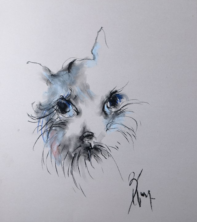 Obraz do salonu artysty Bożena Wahl pod tytułem Kot