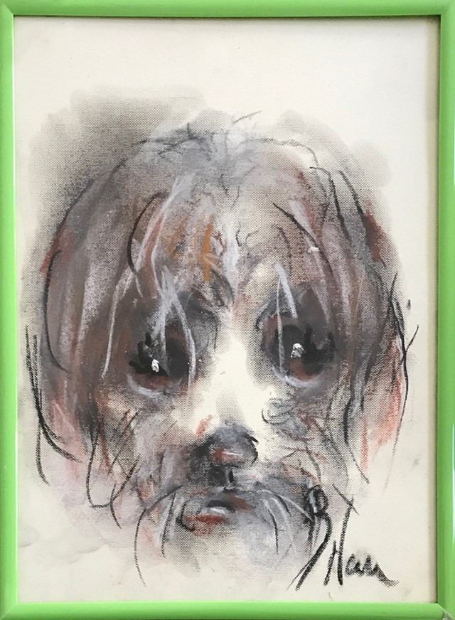 Obraz do salonu artysty Bożena Wahl pod tytułem Portret psa, bez tytułu 2