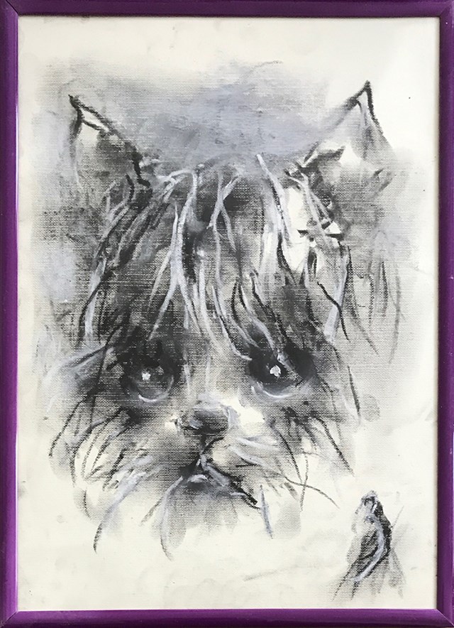 Obraz do salonu artysty Bożena Wahl pod tytułem Portret psa, bez tytułu 6