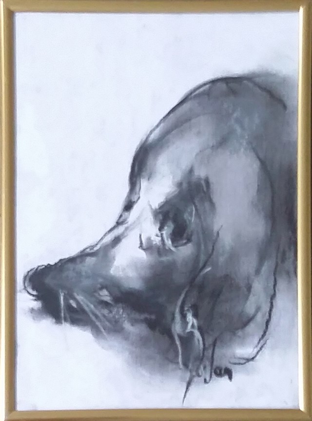 Living room painting by Bożena Wahl titled Dog portrait - from the animal portraits series 031