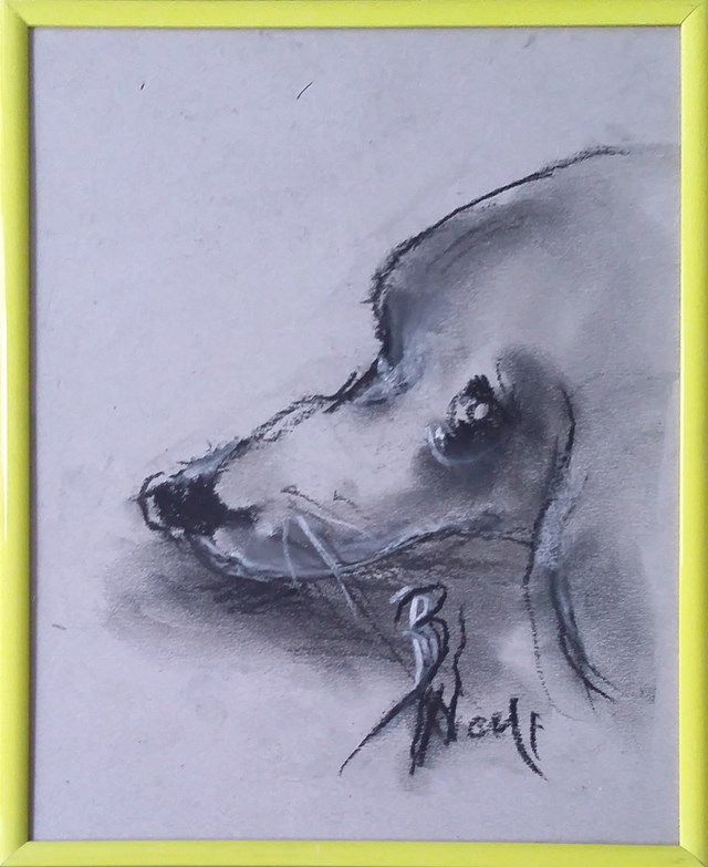 Obraz do salonu artysty Bożena Wahl pod tytułem Portret psa - z cyklu portrety zwierząt 040