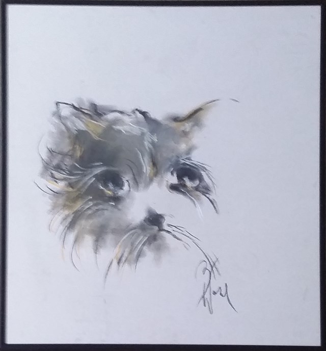 Obraz do salonu artysty Bożena Wahl pod tytułem Portret kota - z cyklu portrety zwierząt 044